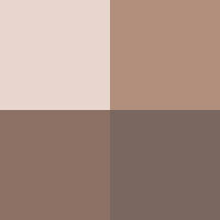 Swatch - Cold Brew