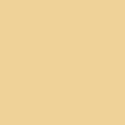 Swatch - Yellow