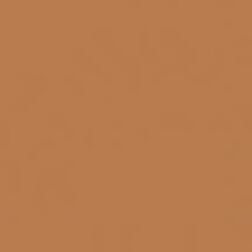 Tan Neutral Warm