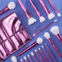 19 Piece Complete Makeup Brush Set