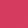 Fuchsia Forward - Fuchsia