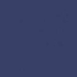 Swatch - Navy
