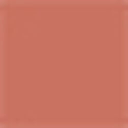 Dusty Rosé - Warm Pink