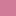 Bold-Faced Lilac - Lavender Lilac