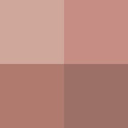Swatch - Take Your Pink