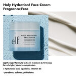 Holy Hydration! Face Cream - Fragrance Free, 