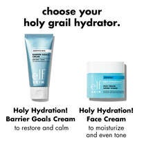 Comparison Chart of the Difference Between Holy Hydration! Skin Barrier Goals Cream and our Face Cream