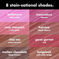 8 Main Lip Stain Shades to Choose From