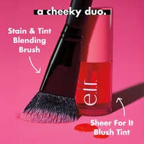 Pair Stain Tint Blending Blush with Sheer For It Blush Tint