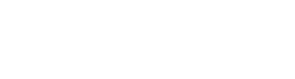 20 Bold AF Satin Rich Shades