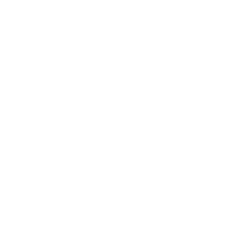 The Beauty Bunch