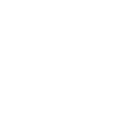 e.l.f. x American Eagle Logo