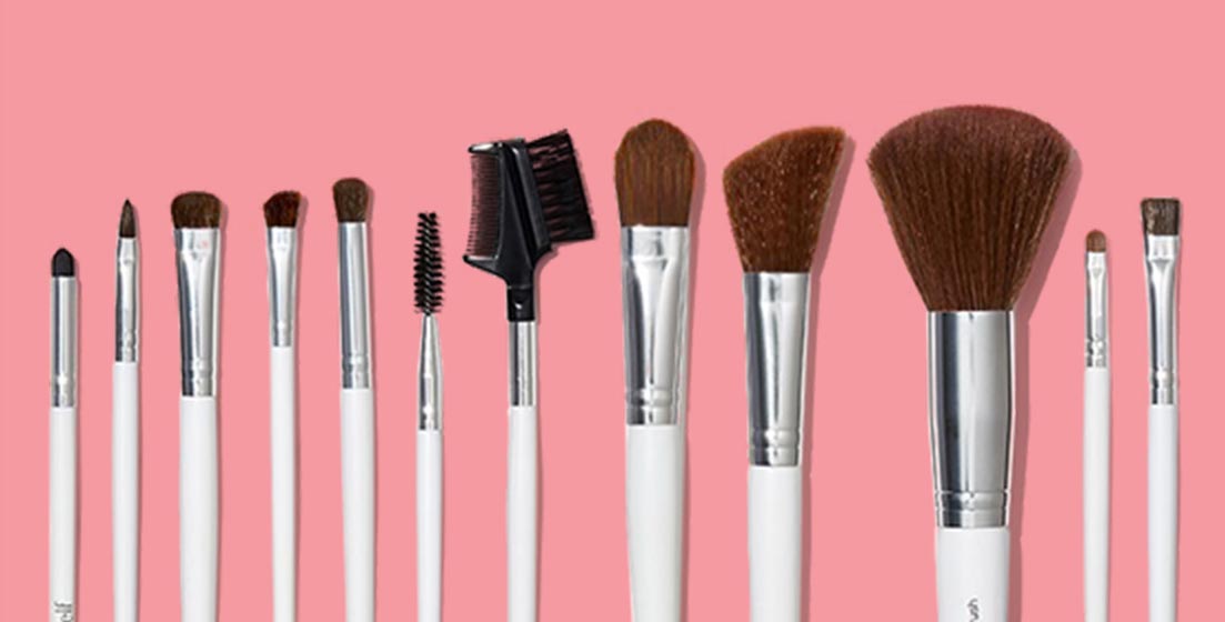 12-piece Professional Brush Set